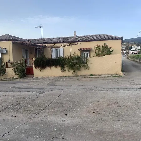 Ntina's Traditional *